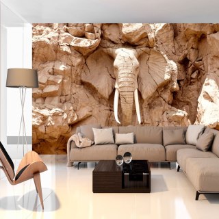 Fototapeta - Kamienny słoń, Skała 3D