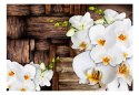 Fototapeta - Kwitnące orchidee Drewno