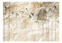 Fototapeta - Papierowe tło, Ptaki