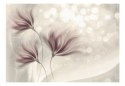 Fototapeta - Delikatne kwiaty, szara