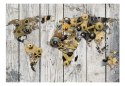 Fototapeta - Mechaniczna Mapa Świata