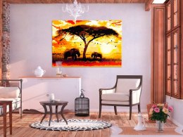 Obraz do samodzielnego malowania - Afryka o zachodzie słońca