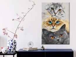Obraz do samodzielnego malowania - Kocie trio