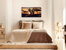 Obraz do samodzielnego malowania - Słoń w Afryce (brązy)