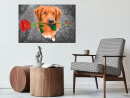 Obraz do samodzielnego malowania - Pies z różą