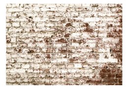 Fototapeta samoprzylepna - Stary Mur, Cegły