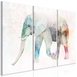 Obraz - Malowany słoń (3-częściowy)