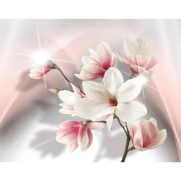 FOTOTAPETA 500x280 +KLEJ, Białe magnolie 3D, róż