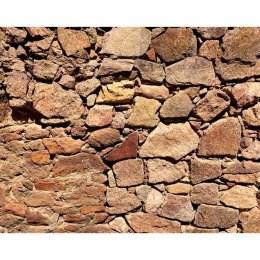 FOTOTAPETA 500x280 +KLEJ, Kamienny mur, piaskowiec