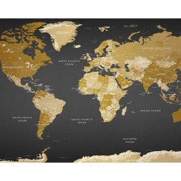 FOTOTAPETA 500x280 +KLEJ, Mapa świata Złoto-czarna