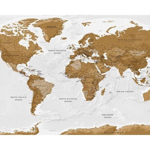 Fototapeta - Mapa świata biała, brąz