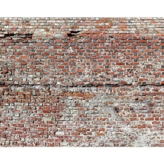 Fototapeta - Stara ceglana ściana