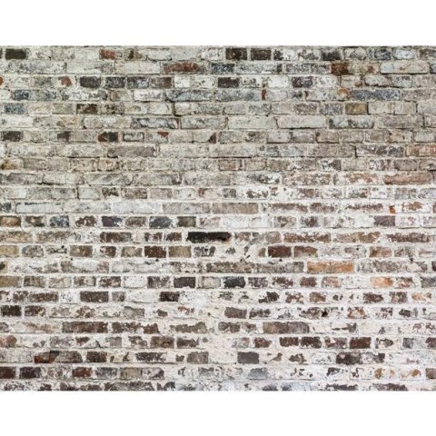 Fototapeta - Stary mur, cegły, tynk