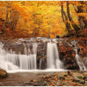 Fototapeta - Jesień, wodospad i las