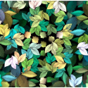 Fototapeta - Kolorowe jesienne liście