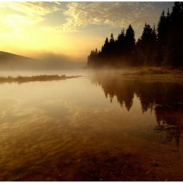 Fototapeta - Las, jezioro, zachód, mgła