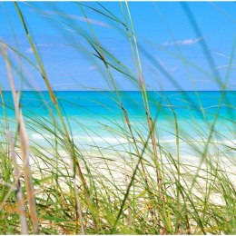 Fototapeta - Lazurowa plaża i trawa