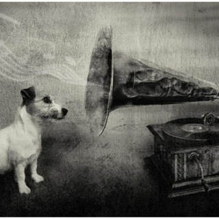 Fototapeta - Pies i gramofon, szara