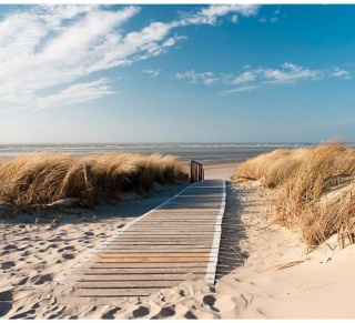 Fototapeta - Plaża Morza Północnego