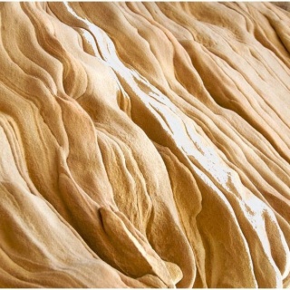 Fototapeta - Wavy sandstone forms