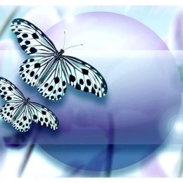 Fototapeta - Błękitne motyle 3D