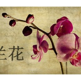 Fototapeta - Japoński kwiat, orient