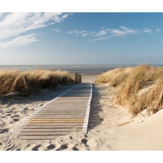 Fototapeta - Plaża Morza Północnego
