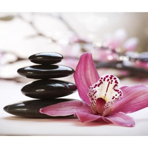 FOTOTAPETA 450x270 +KLEJ, Relaxation and Wellness