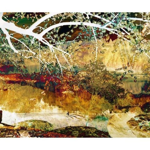 Fototapeta - River of life, Klimt