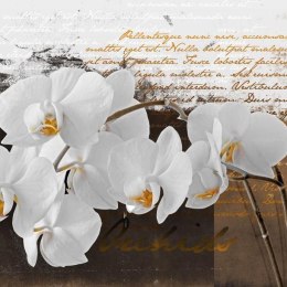 Fototapeta - Białe kwiaty i napisy