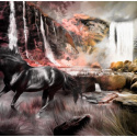 Fototapeta - Czarny koń przy wodospadzie