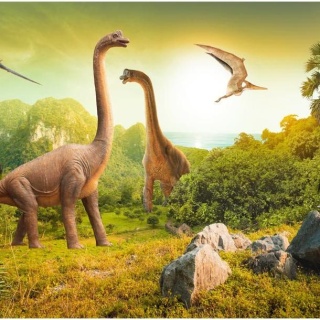 Fototapeta - Dinozaury