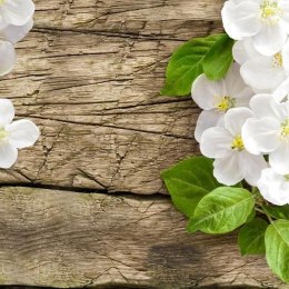 Fototapeta - Drewno i białe kwiaty