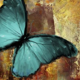 Fototapeta - Duży turkusowy motyl