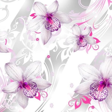 Fototapeta - Fioletowy wzór kwiatów