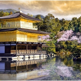 Fototapeta - Japonia, widok na ogród