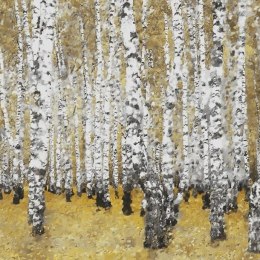 Fototapeta - Jesienny brzozowy las
