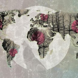 Fototapeta - Mapa Świata, Szary róż