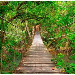 Fototapeta - Most w dżungli, lesie 3D