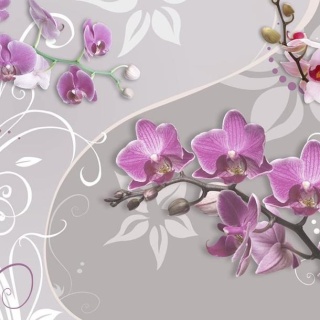 Fototapeta - Motyw roślinny, orchidee
