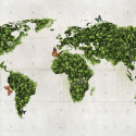 Fototapeta - Zielona Mapa, Natura