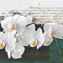 Fototapeta - Orchidea - inspiracja
