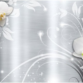 Fototapeta - Orchidee na stali