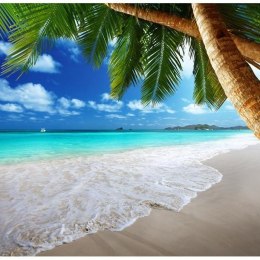 Fototapeta - Palmy i tropikalna wyspa