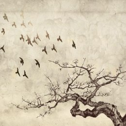 Fototapeta - Lot ptaków, Drzewo, Beż