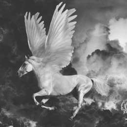 Fototapeta - Pegaz, Biały koń, Chmury