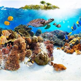 Fototapeta - Rafa koralowa i ryby