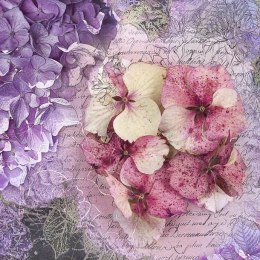 Fototapeta - Róż Fiolet Kwiaty Vintage