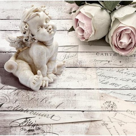 Fototapeta - Róże i aniołek, biała
