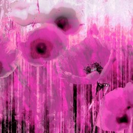 Fototapeta - Różowe maki, abstrakcja